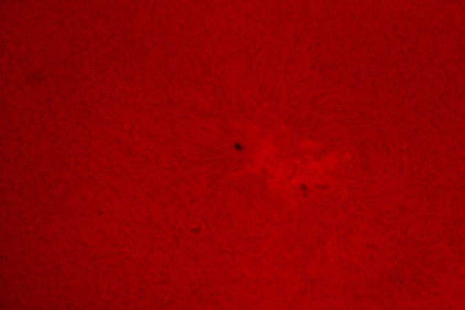 Sonne imH-Alpha-Licht, 7.11.2020, Aufnahme: Werner Wöhrmann