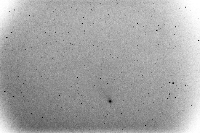 Komet C/2020 F3 Neowise, 10.8.2020, Aufnahme: Thomas Kunzemann