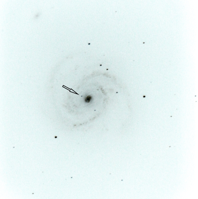 Supernova SN 2019ehk in M100, 4.5.2019, Aufnahme: Gerold Holtkamp