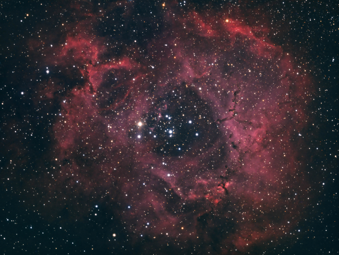 Rosetten-Nebel NGC2244, Aufnahme: Jörg Große-Kracht, 2.3.2021