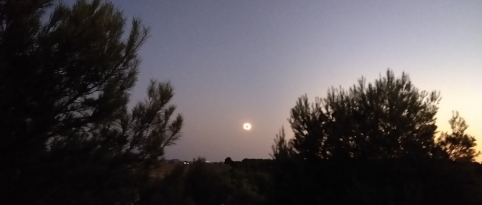 Sonnenfinsternis in Saragossa